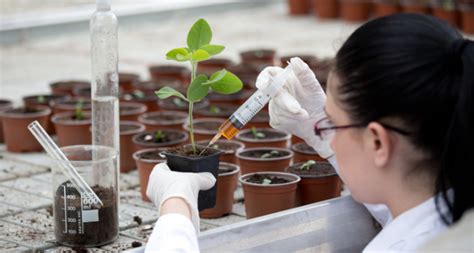 Plant Science Careers .